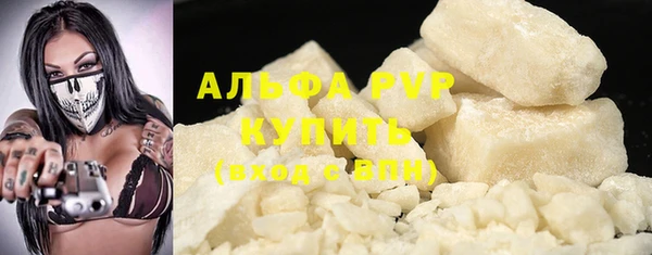 индика Арсеньев