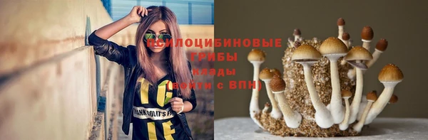 ALPHA-PVP Армянск