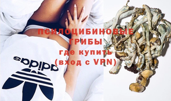 индика Аркадак