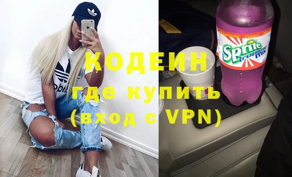 индика Аркадак