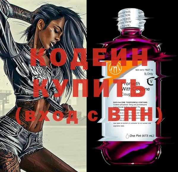 индика Арсеньев