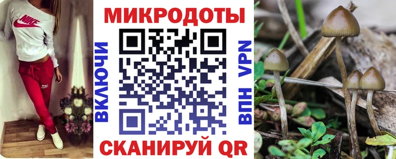 OMG как войти  Балей  Псилоцибиновые грибы прущие грибы 